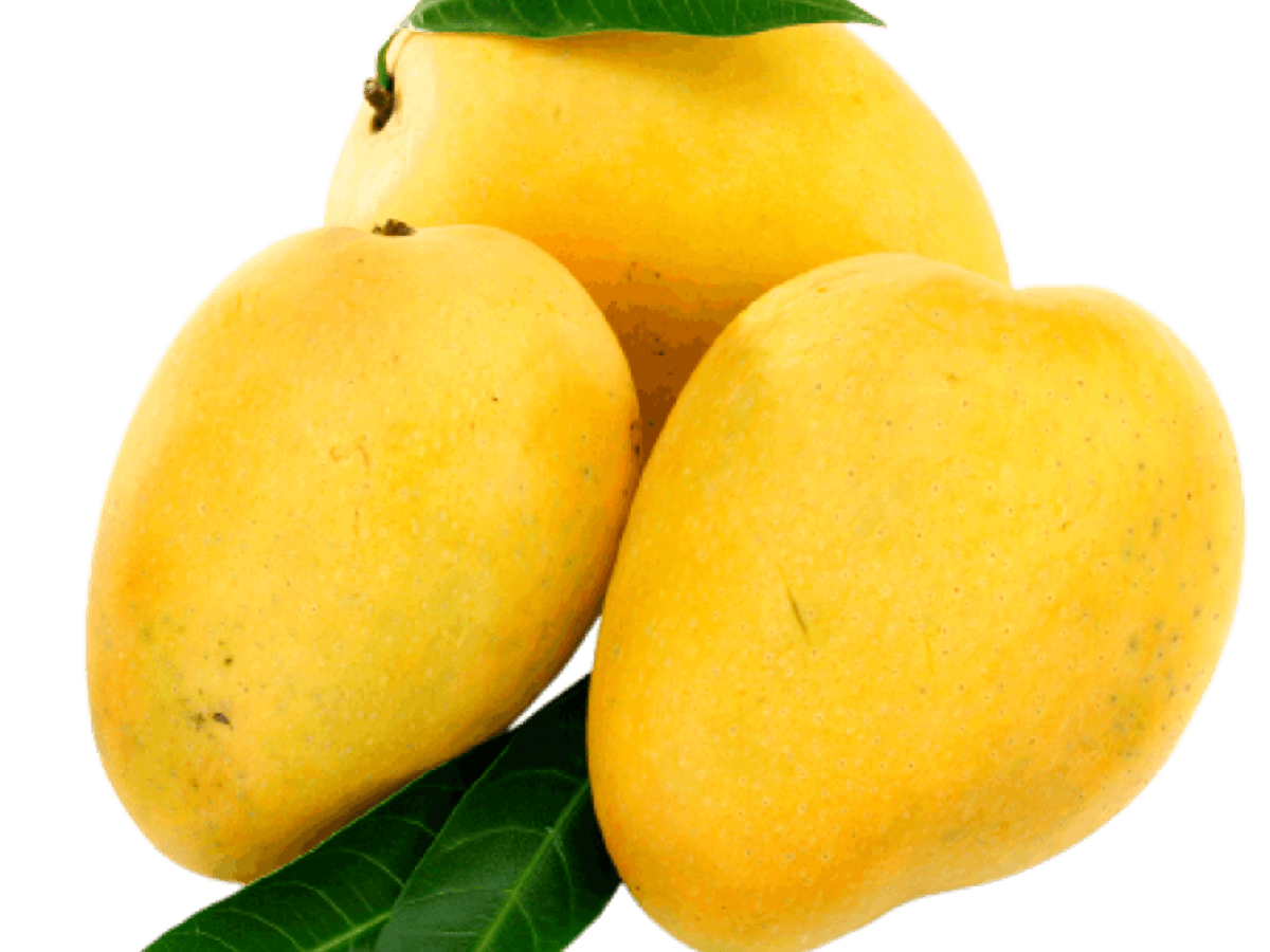Mango